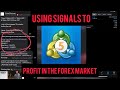 How to Use Trading Signals for Profit