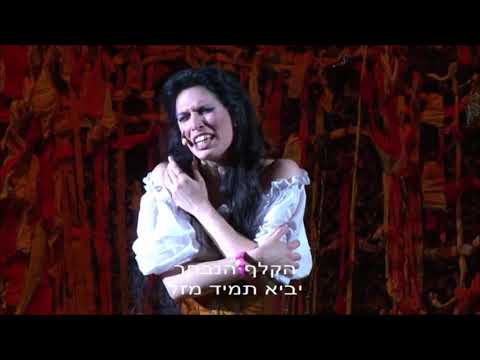 Bizet - Carmen: Card aria, "En vain pour éviter" (Na'ama Goldman)