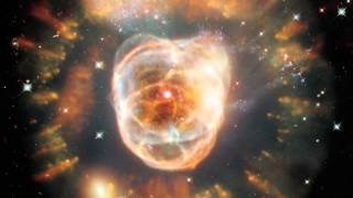 Yellow Ostrich - Already Gone (Visual Accompaniment)