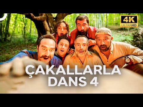 Çakallarla Dans 4 | 4K Komedi Filmi İzle