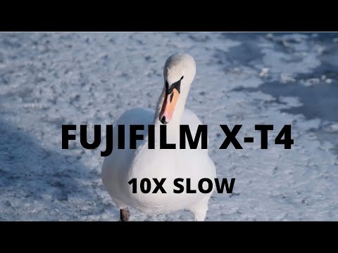 Fujifilm XT4 10X SLOW - Fujinon XF 50mm-140mm F2.8