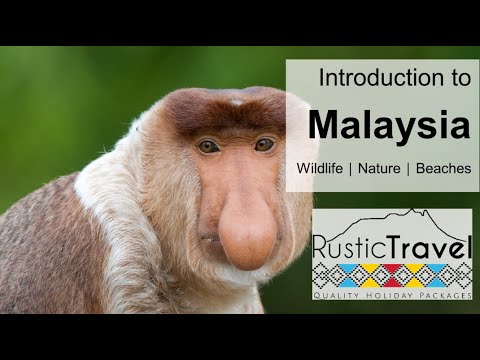 Introduction to Borneo & Malaysia - Rustic Travel