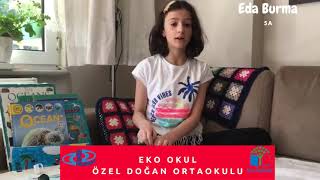 Eko Okul Özel Doğan Ortaokulu