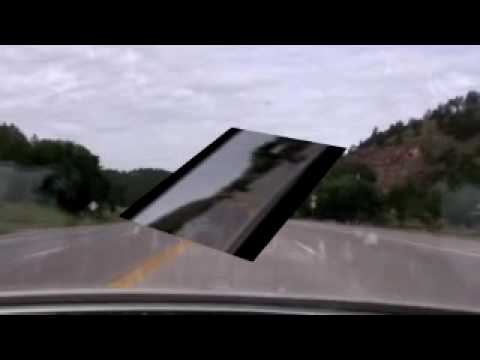 Florida Wild Hogs Adventures P I v4