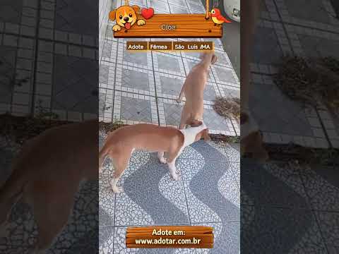 Vídeo de Cloe 