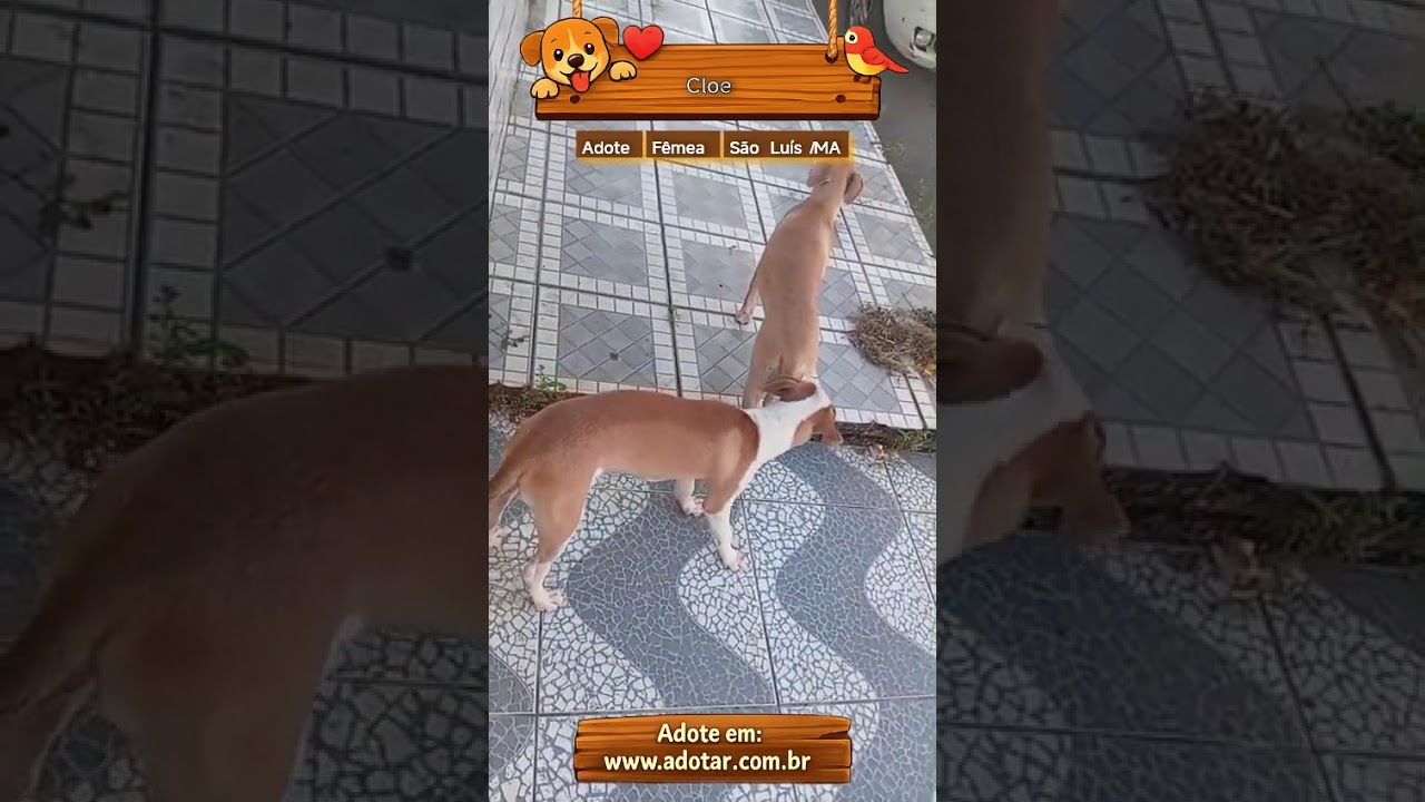 Vídeo de Cloe 
