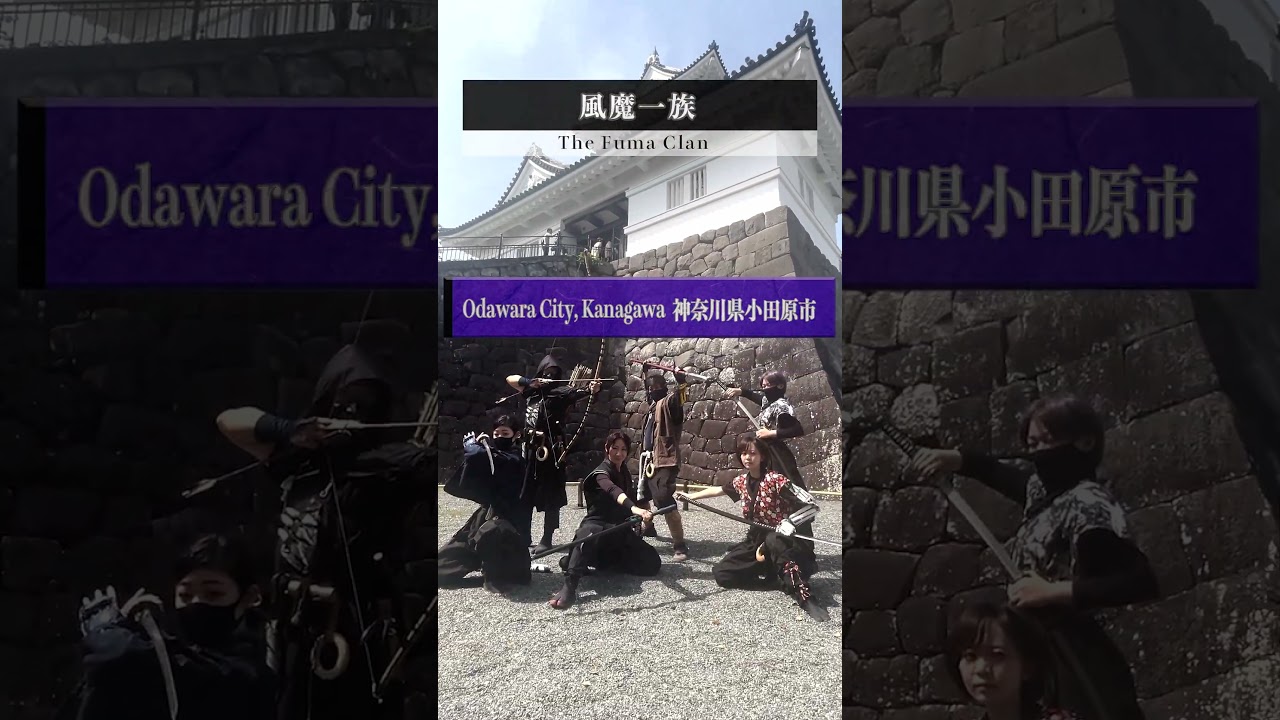 Odawara, the Land of Real Ninja | 小田原城,風魔一族,石垣山一夜城 #shorts