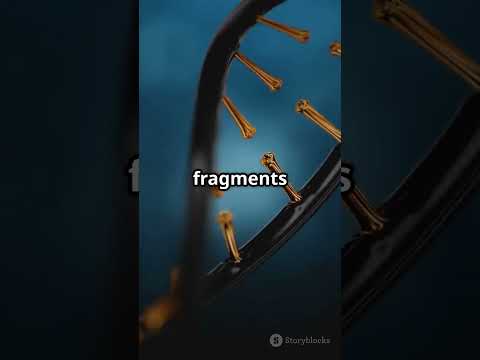 NEET 2025: Repeated Question from Cell Cycle – G2 Checkpoint Concept!   EP 331