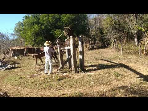 Engenho de Rapadura (Doresopolis-MG)