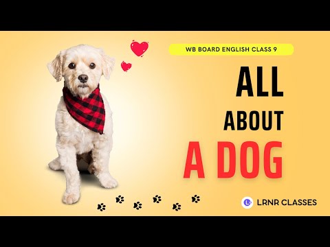 All About a Dog Class 9 English Lesson 2 Full text explanation | All about a Dog by A.G.Gardiner | LRNR Classes | Subrata Sir