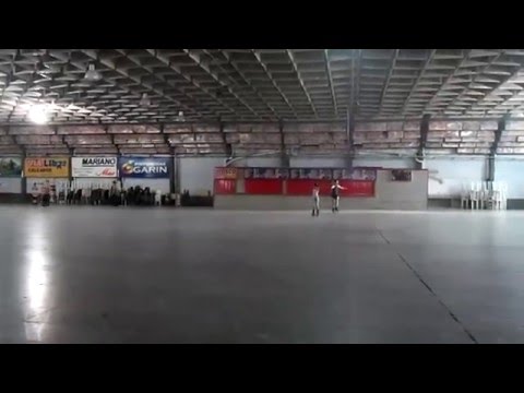 DOBLE AXEL DARIO MOLINA