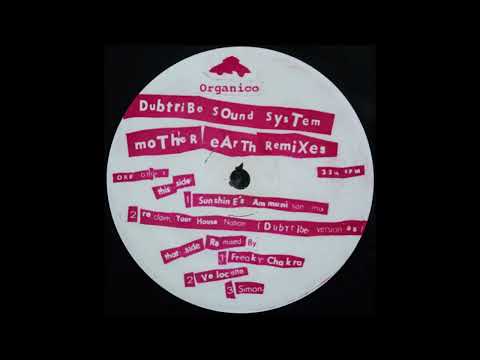 Dubtribe Sound System - Mother Earth (Reclaim Your House Nation) (Dubtribe Version '95) (1995)