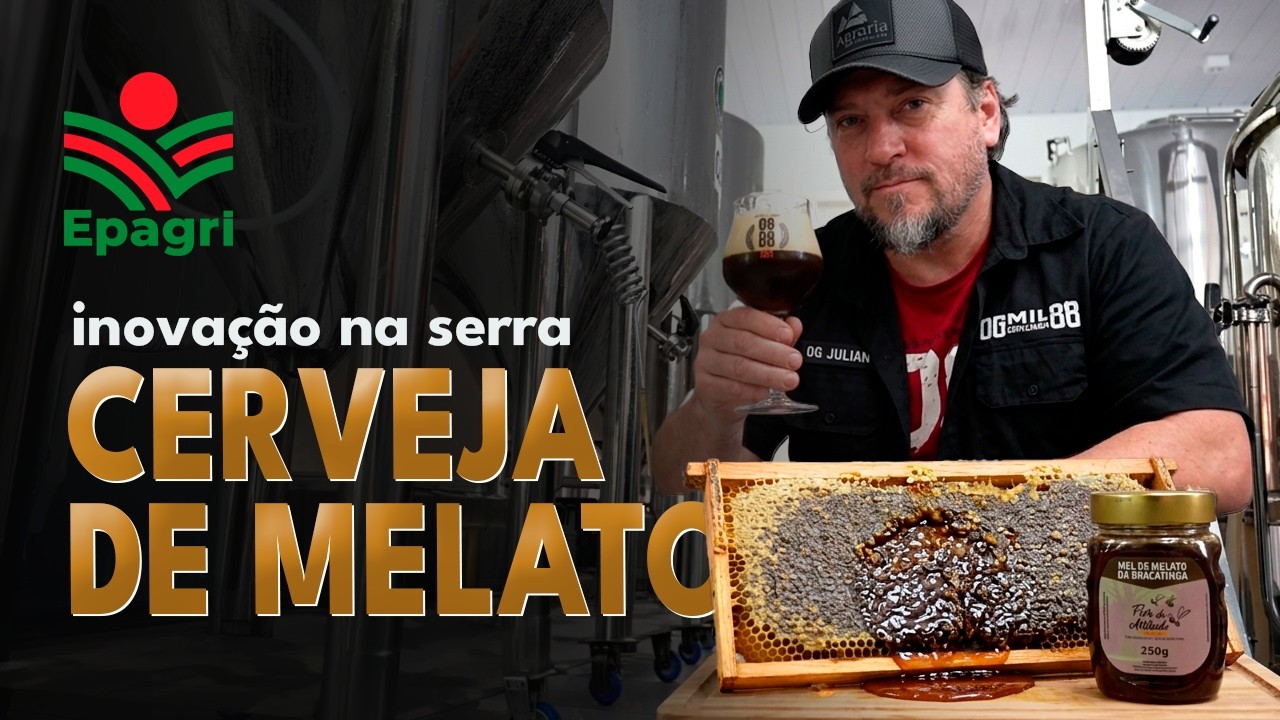 Do campo à cervejaria: Mel de Melato da Bracatinga ganha espaço na produção de cerveja artesanal