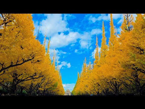 #481【ドライブ!!】遅れました。ごめんなさいの日