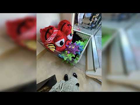 (FREE) showjoe x nick mira x sofaygo no drums type beat - "without you" prod. @barelybrandon