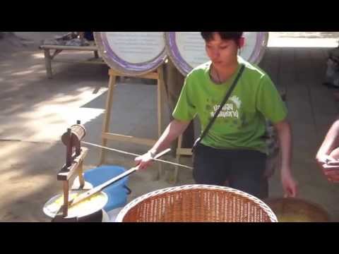 Fazendo seda tailandesa: do bicho-da-seda ao tecido