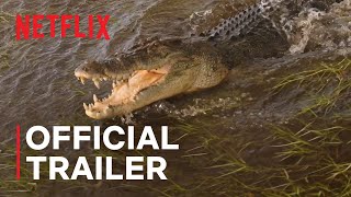 Wild Croc Territory | Official Trailer | Netflix