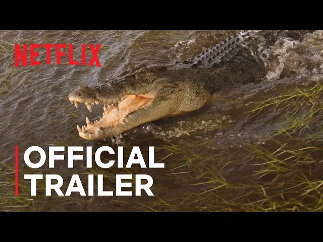 Official Netflix Trailer