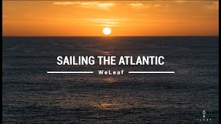 Where the wind blows | Crossing the Atlantic