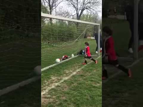 Pancratius JO8-8 - RAP JO8-3 (08-04-2017)