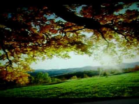 Songkillers i Dino Dvornik: Milina