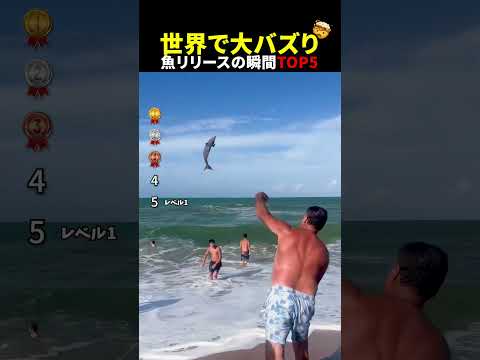 世界中で大バズり⁉魚リリースの瞬間TOP5
