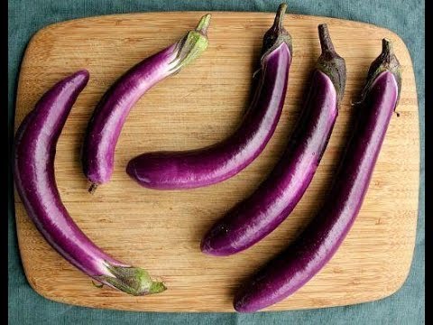 download lagu mp3 mp4 Japanese Eggplant Seeds, download lagu Japanese Eggplant Seeds gratis, unduh video klip Japanese Eggplant Seeds