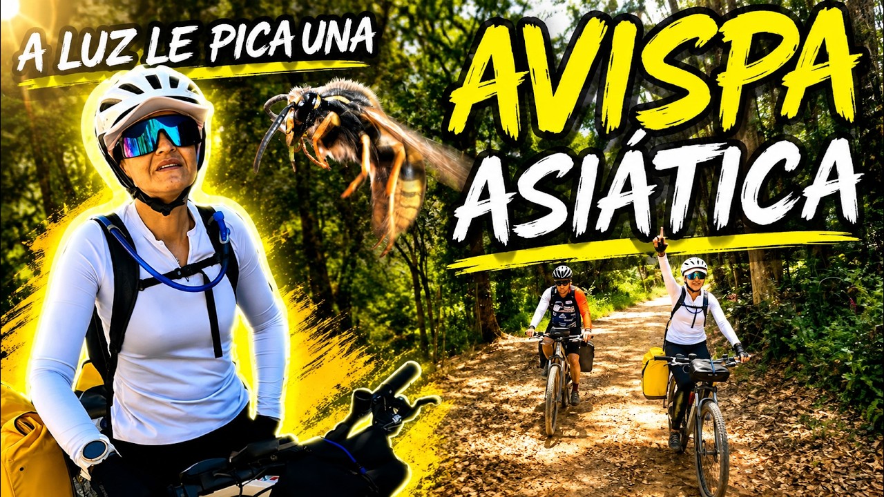 PORTUGAL en BICICLETA🚴🏻‍♂️A LUZ LE PICA UNA AVISPA ASIÁTICA 🐝🐝 CAMINO DE SANTIAGO PORTUGUÉS 🚴🏾