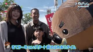 2025/10/27放送・知ったかぶりカイツブリにゅーす