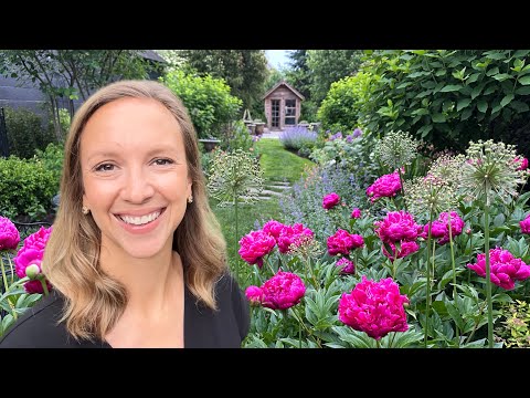 A Week Full of Peonies 🥰 Peony Bouquets, Large Arrangements, Roadside Flower Stand Tips, Peony Farm