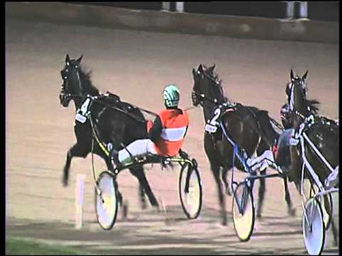 Trotto 12/01/2016 - 6° corsa