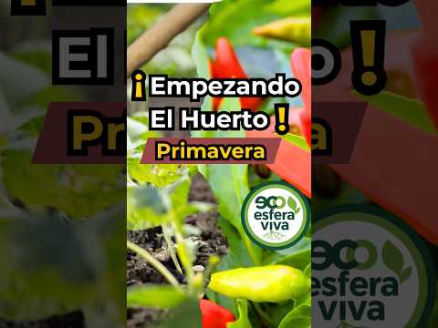 Spring Garden Start: Essential Tips for Your Permaculture Plot