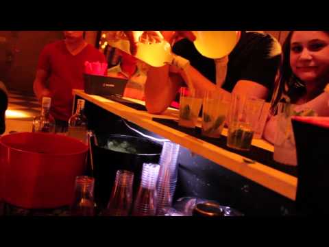 Leonidas 2011 • FEA Puc