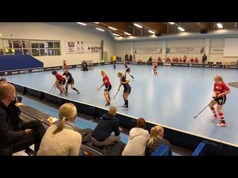 ATSM EräViikingit - SB-Pro 11.11.2020