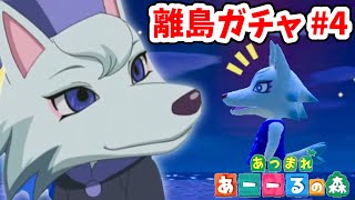 【あつ森】ビアンカ姉さん結婚してくれ【離島ガチャ #4】【あつまれどうぶつの森】