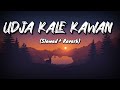 Udja Kale Kawan (Slowed + Reverb) | Gadar | Victory | Lofi Song | ᴍᴜsɪᴄ ᴍᴀsᴀʟᴀ