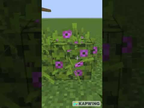 Minecraft resorcepack : Bushy leaves texture pack