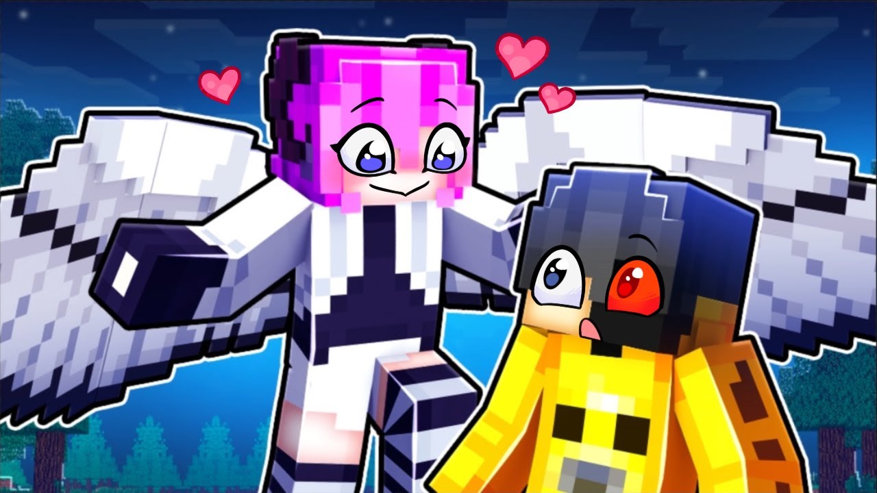 The OWL is OBSESSED With Me!