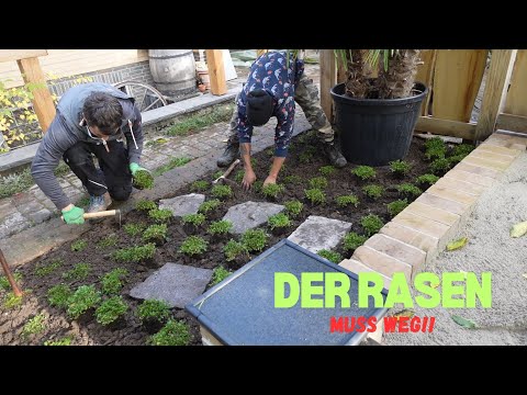 Rasenersatz | Kosten | Dokumentation