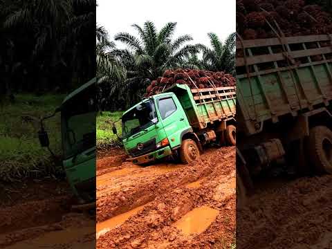 Hino power in action! 🚛💨