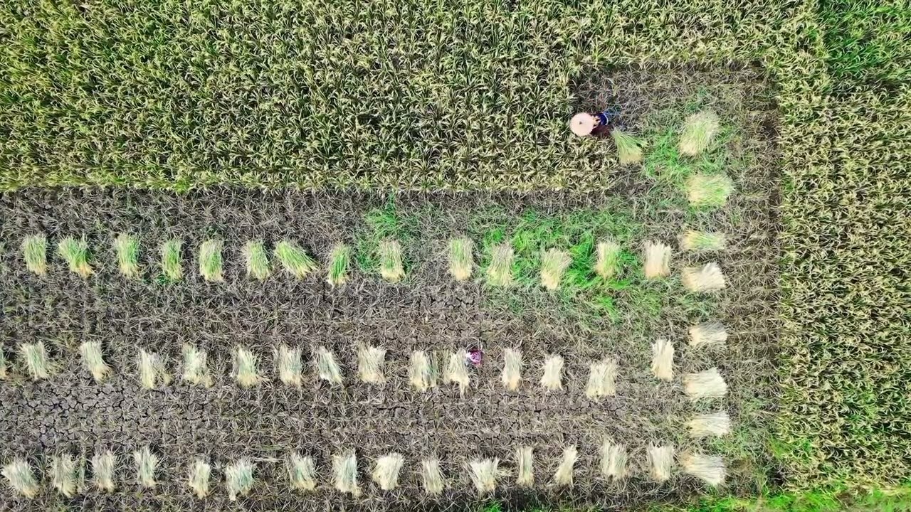 The Traceability Hub