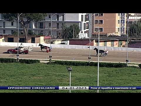 Aversa trotto 4 Gennaio 2023 - Prova di riqualifica e inserimento in categoria