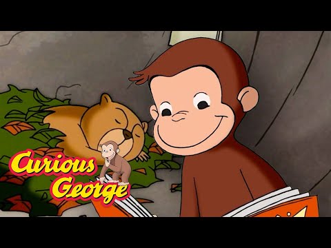 A Whistlepig Wednesday! 🐵 Curious George 🐵 Kids Cartoon 🐵 Kids Movies