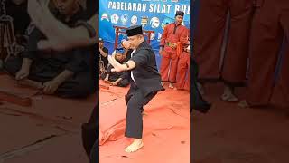Download lagu Silat BEKSI 4penjuru #shortvideo #betawiasli #ssbkb mp3