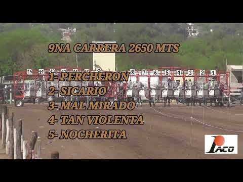 PERCHERON HIPODROMO DON SOHAR CRUZ DEL EJE 9 10 20221