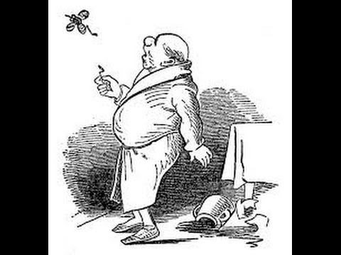 Die Fliege Gedichte von Wilhelm Busch