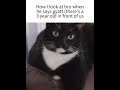 Gyatt Memes