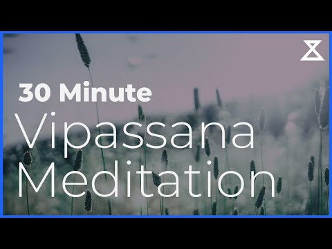 30 Minute Guided Vipassana Meditation