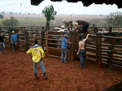 Dilam Vs Yank Cia.MSA do Tiaozim