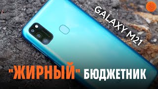 Samsung Galaxy M21 4/64GB Black (SM-M215FZKU) - відео 3